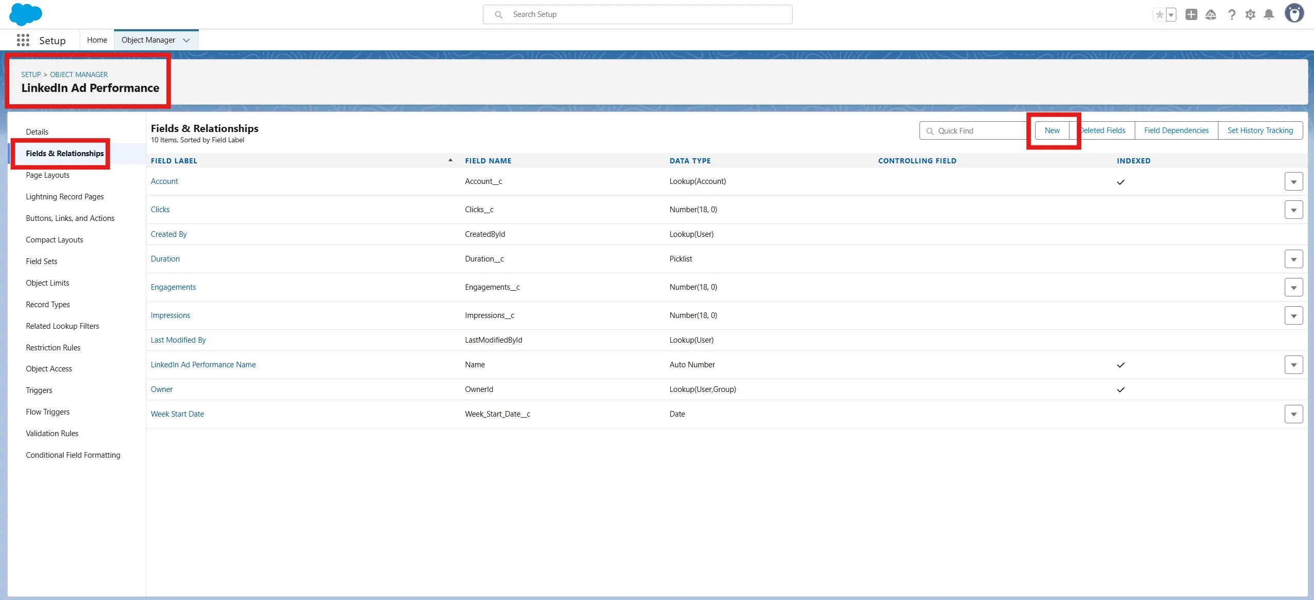 Custom object Fields & Relationships New button