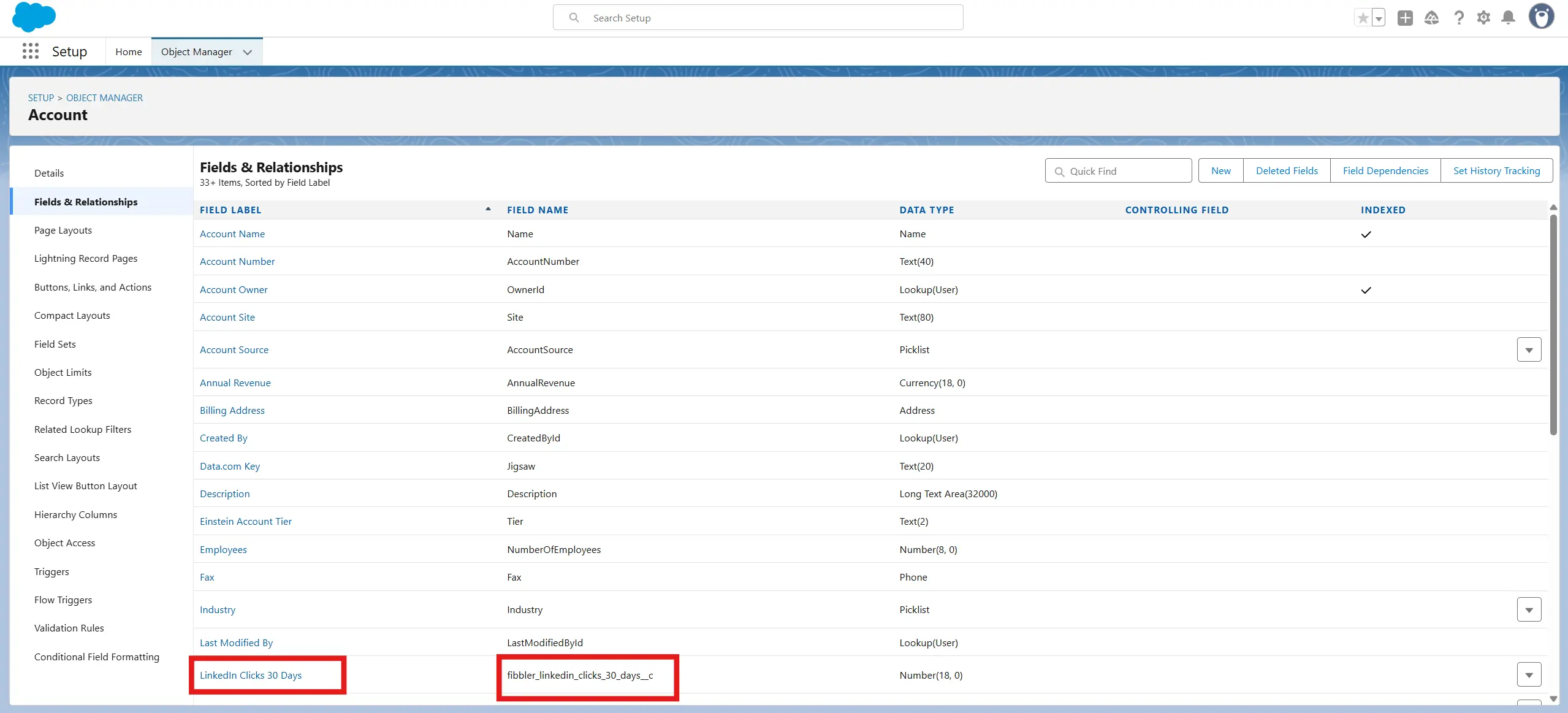 Field Definition Detail view showing Field Name and API Name
