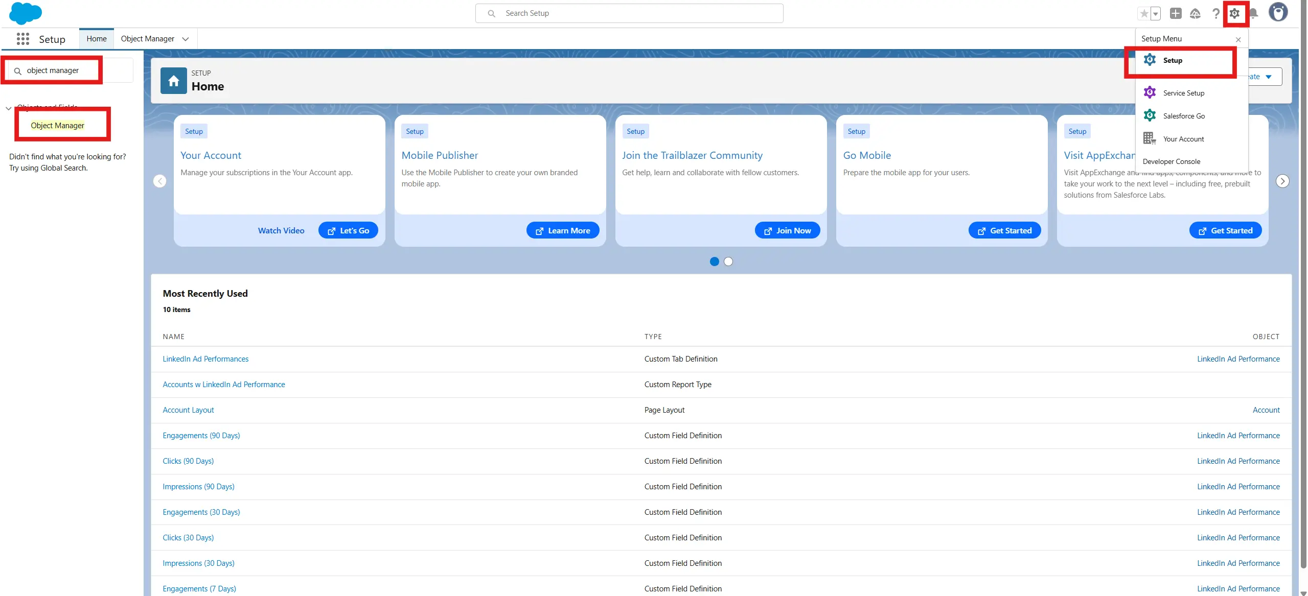 Object Manager Custom Object search