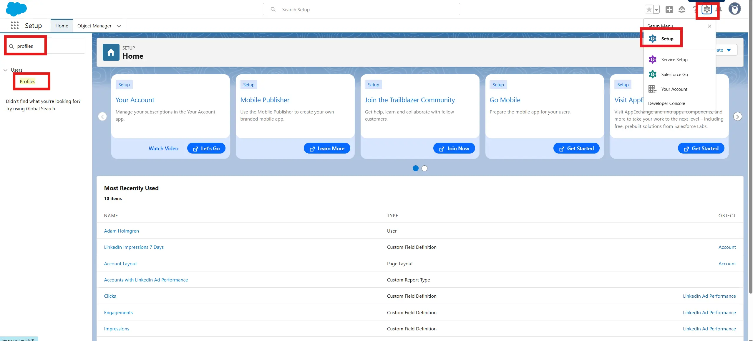 Salesforce Setup Profiles