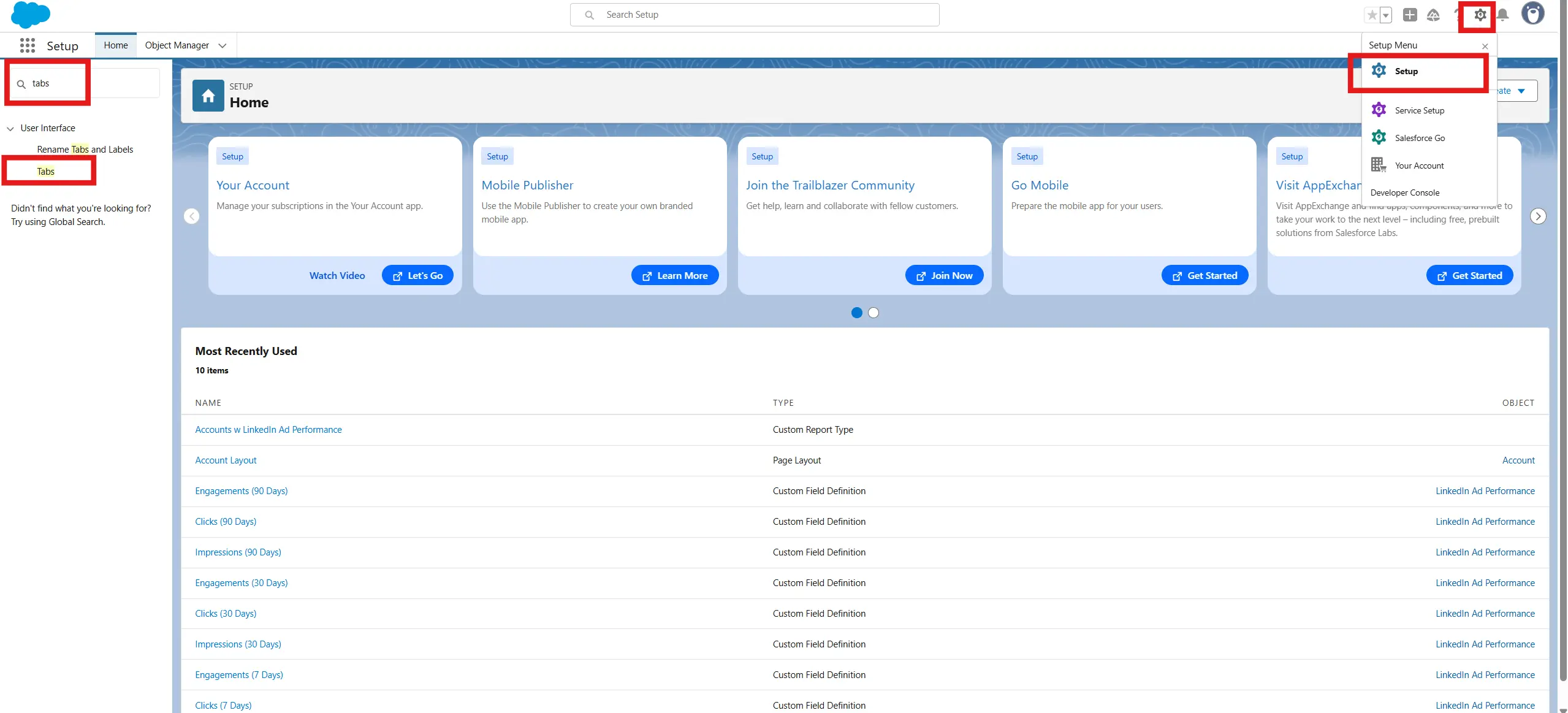 Salesforce Setup Tabs